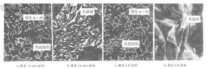 Al-5Ti-1B-10RE細化處理后分別靜置10 min和6 h合金的顯微組織