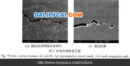 B裂紋橫斷面形貌