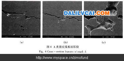 A類裂紋橫斷面形貌