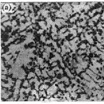 圖4　焊縫金相組織