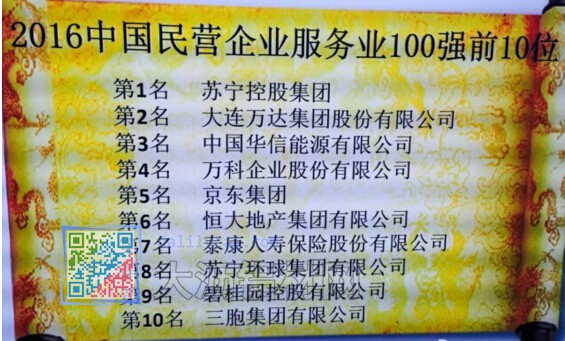 2016中國民營企業(yè)服務(wù)業(yè)500強(qiáng)前10名完整名單