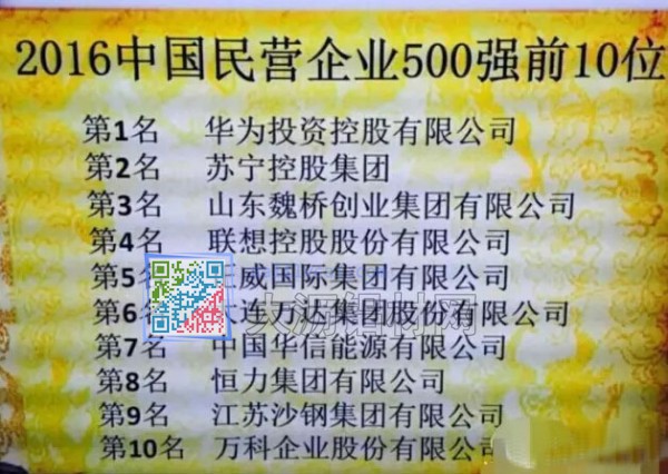 2016年中國民營企業(yè)500強(qiáng)前10位名單