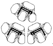 太陽(yáng)能邊框一出三模具設(shè)計(jì)圖