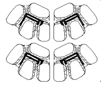 太陽(yáng)能邊框一出四模具設(shè)計(jì)圖