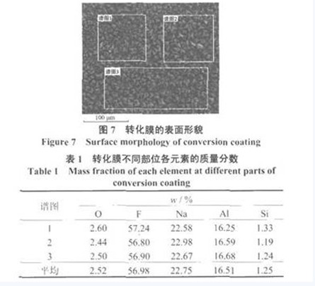 轉(zhuǎn)化膜的表面形貌