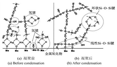 三維網(wǎng)狀結(jié)構(gòu)的硅烷膜