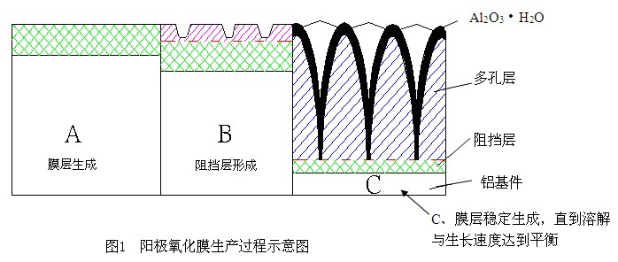 鋁材陽(yáng)極氧化膜成長(zhǎng)機(jī)理