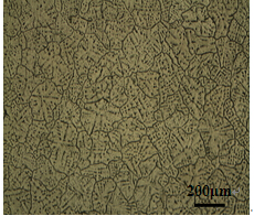 變質(zhì)合金鑄態(tài)金相