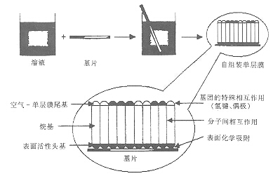 鋁材表面分子自組裝機(jī)理