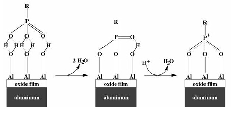 鋁表面烷基膦酸自組裝機(jī)理