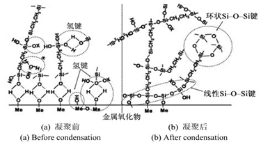 鋁合金表面硅烷成膜過程