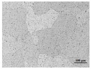  6060焊接組織形貌  200X
